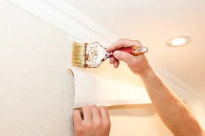 Pose de papier peint à Surba — revêtements muraux et toiles de verre